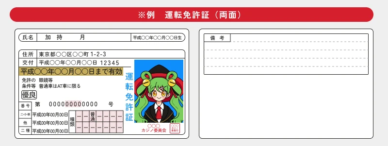 ミスティーノ(Mystino)|本人確認書類例画面