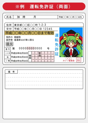 ミスティーノ(Mystino)|本人確認書類例画面
